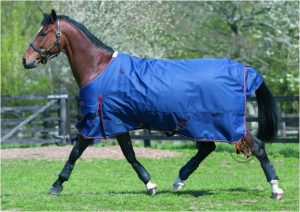 JHL Heavyweight Turnout Rug