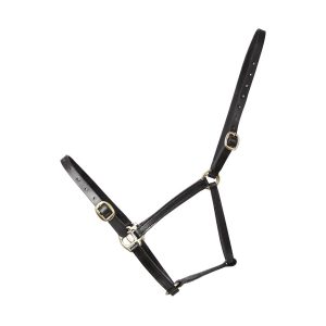 Hy Leather Foal Head Collar