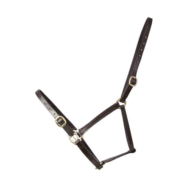 Hy Leather Foal Head Collar - Image 2