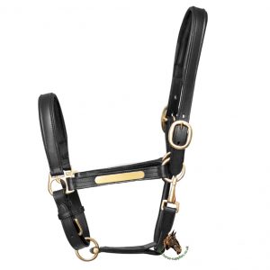 Hy Leather Head Collar