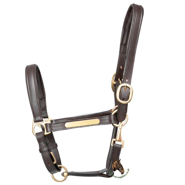 Hy Leather Head Collar - Image 2
