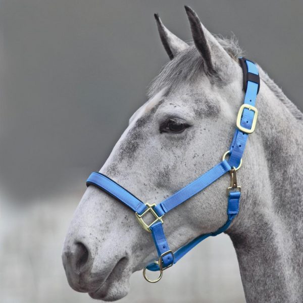 Shires Topaz Nylon Headcollar (387) - Image 6