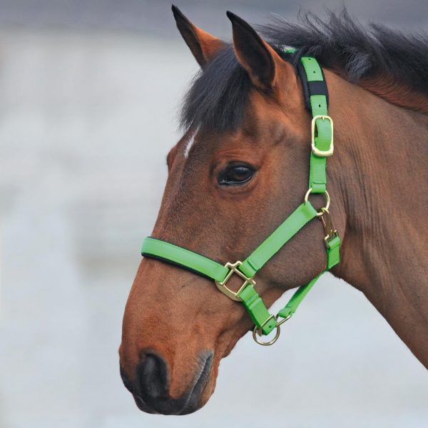 Shires Topaz Nylon Headcollar (387) - Image 8
