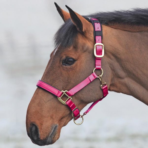 Shires Topaz Nylon Headcollar (387) - Image 3