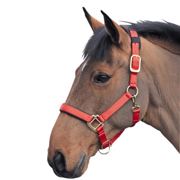 Shires Topaz Nylon Headcollar (387) - Image 4
