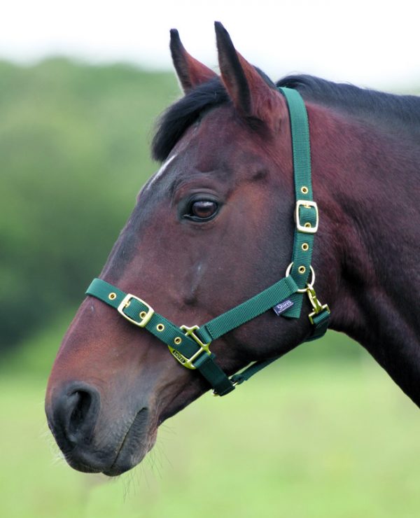 Shires Nylon Headcollar (384B) - Image 3