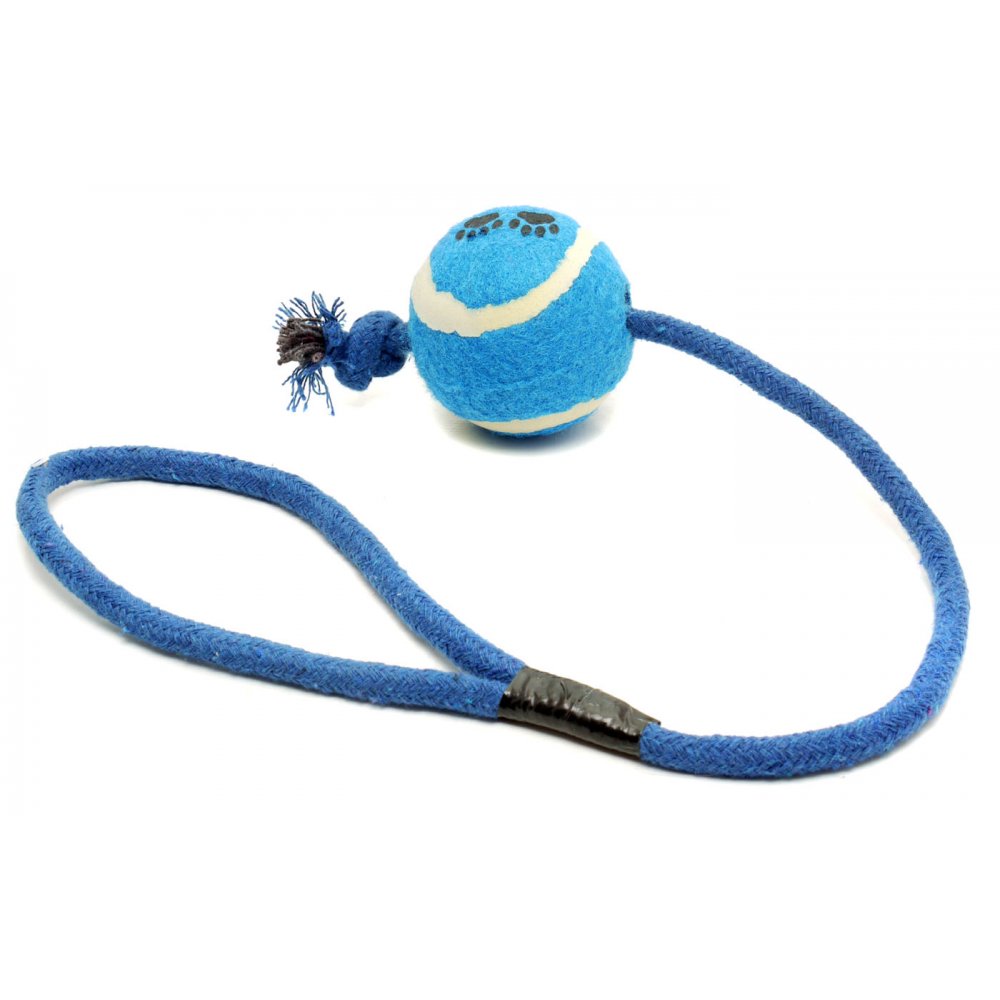 Good Boy Tennis Ball on a Rope (Blue)