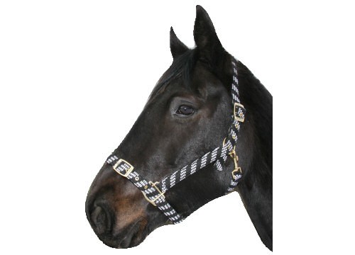 IV Horse Crossweave Headcollar & Lead Rope