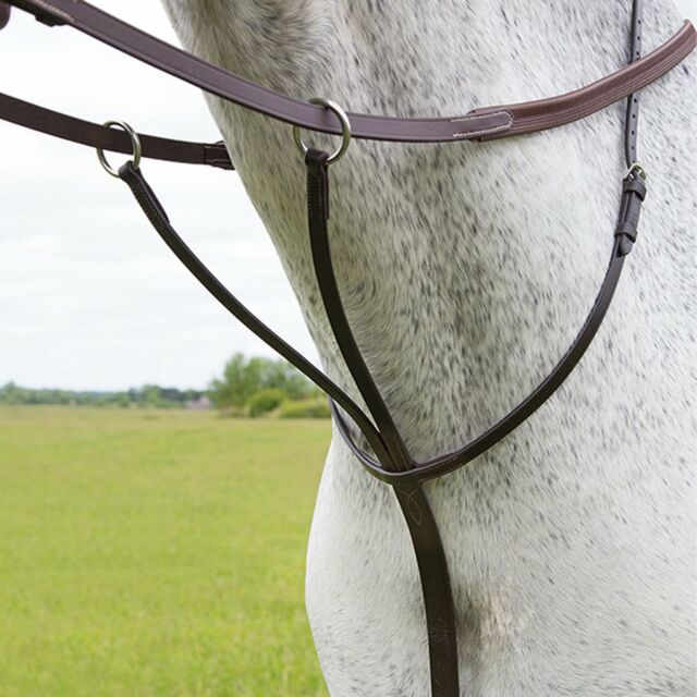 Shires Blenheim Running Martingale (4192)