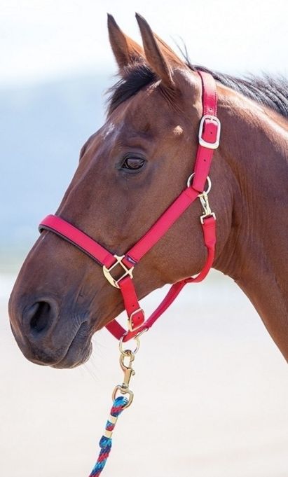 Shires Topaz Nylon Headcollar (387)