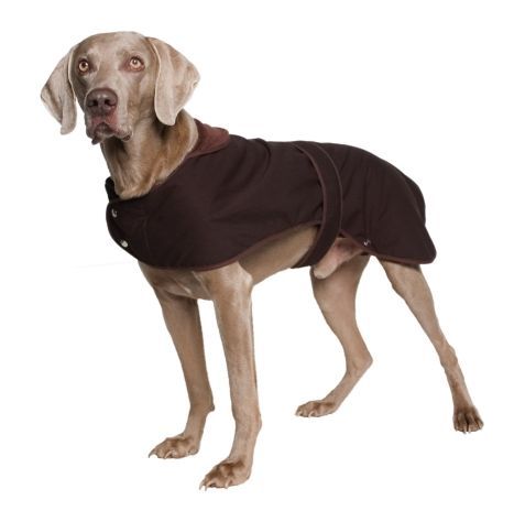 Timberwolf Extreme Waxed Dog Coat