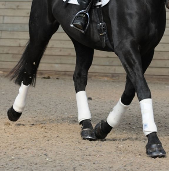 Woof Wear Dressage Wrap