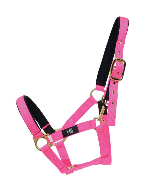 Hy Fieldsafe Head Collar - Image 4