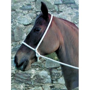 Elico Rope Halter - Plain White
