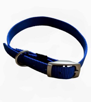 Nylon Webbing Dog Collar