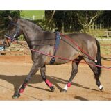 John Whitaker Training System