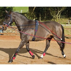 John Whitaker Training System