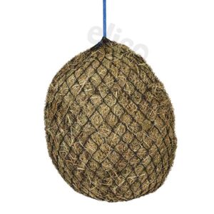 Torbay (Steamer) Hay Net