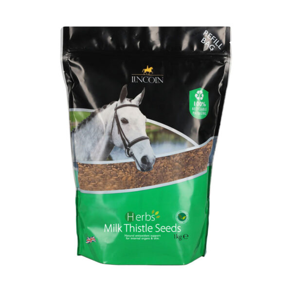 Milk Thistle Seeds