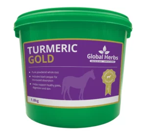 Global Herbs Turmeric Gold