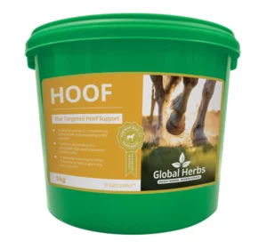 Hoof