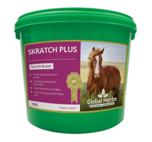 SkratchPlus Powder