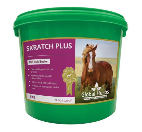SkratchPlus Powder